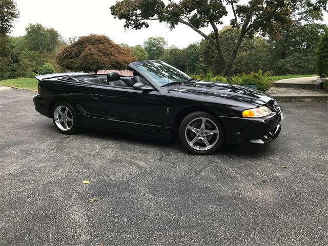 1996 Ford Mustang Cobra (CC-1020585) for sale in Mahopac, New York