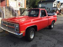1987 Chevrolet Pickup (CC-1020599) for sale in South Ozone Park, New York