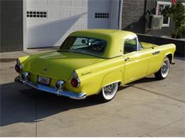 1955 Ford Thunderbird (CC-1026192) for sale in Hilton, New York