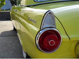 1955 Ford Thunderbird (CC-1026192) for sale in Hilton, New York