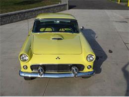 1955 Ford Thunderbird (CC-1026192) for sale in Hilton, New York