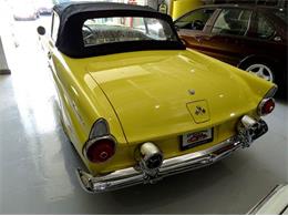 1955 Ford Thunderbird (CC-1026192) for sale in Hilton, New York