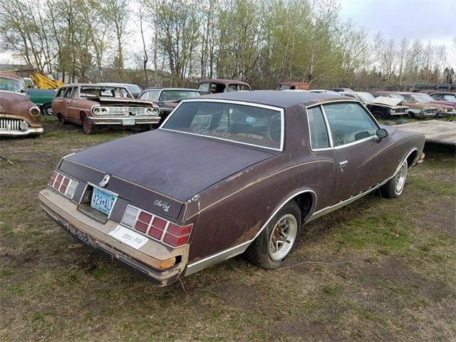 1980 Chevrolet Monte Carlo (CC-1020655) for sale in Crookston, Minnesota