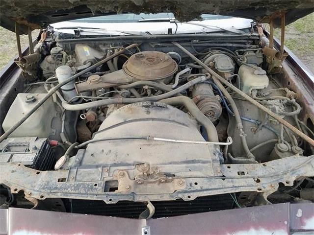 1980 Chevrolet Monte Carlo (CC-1020655) for sale in Crookston, Minnesota