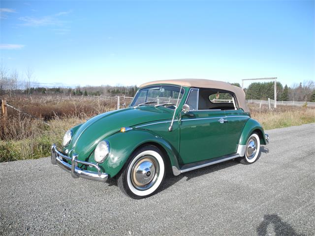 1965 Volkswagen Beetle (CC-1027278) for sale in SUDBURY, Ontario