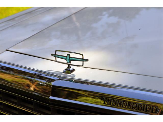 1980 Ford Thunderbird (CC-1020748) for sale in Saratoga Springs, New York