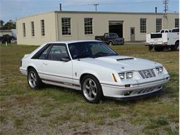 1984 Shelby GT350 (CC-1027988) for sale in Greensboro, North Carolina