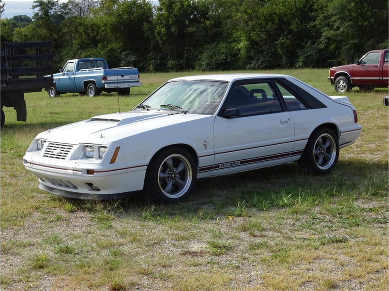 1984 Shelby GT350 for Sale CC1027988