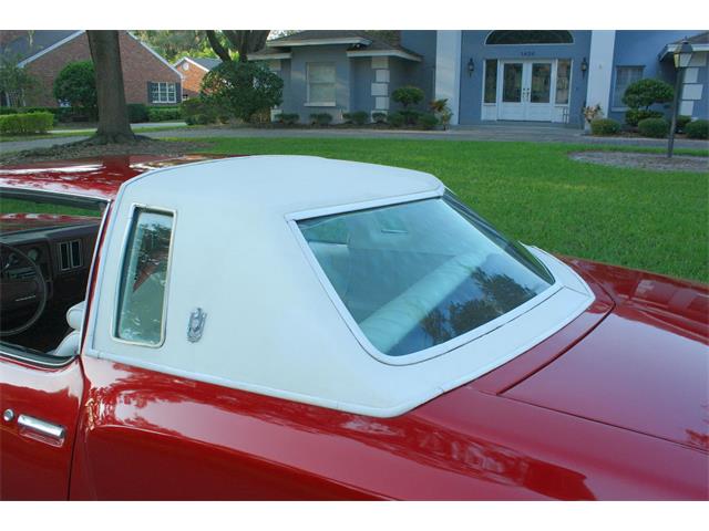 1976 Chevrolet Monte Carlo (CC-1028243) for sale in lakeland, Florida