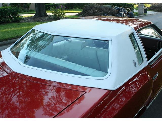 1976 Chevrolet Monte Carlo (CC-1028243) for sale in lakeland, Florida