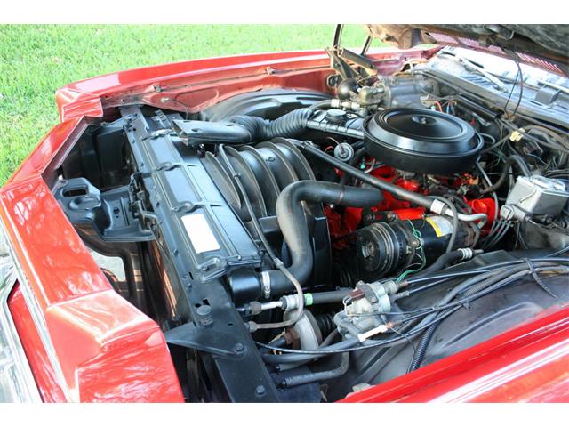 1976 Chevrolet Monte Carlo (CC-1028243) for sale in lakeland, Florida