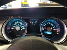 2012 Ford Mustang Boss 302 Laguna Seca (CC-1028272) for sale in Mankato, Minnesota