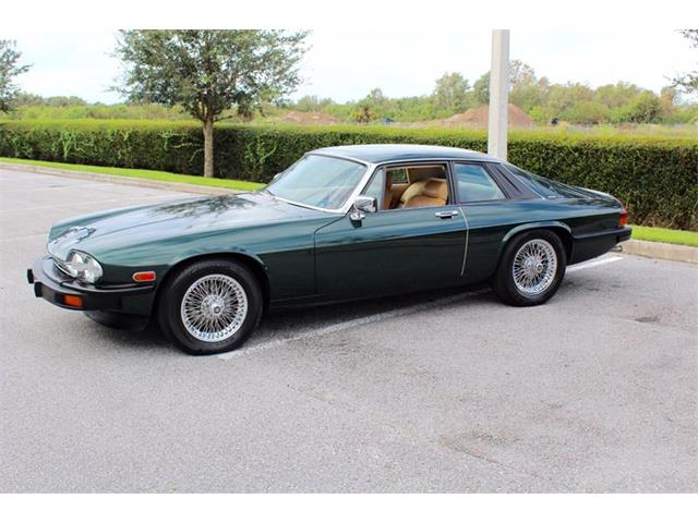 1980 Jaguar XJS (CC-1028490) for sale in Sarasota, Florida