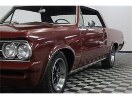 1964 Pontiac Tempest (CC-1028614) for sale in Denver , Colorado
