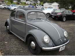 1953 Volkswagen Beetle (CC-1029727) for sale in Ashland, Ohio