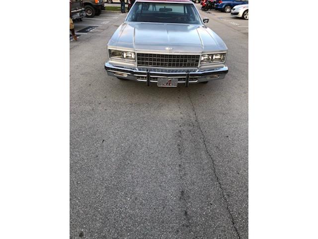 1976 Chevrolet Caprice (CC-1031101) for sale in Jacksonville, North Carolina