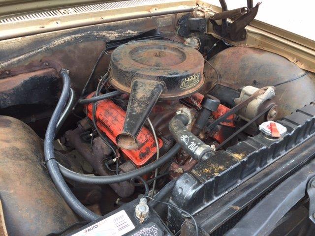 1965 Chevrolet Chevelle SS (CC-1031137) for sale in Milford, Ohio