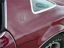 1978 Pontiac Firebird Trans Am (CC-1031187) for sale in Milford, Ohio