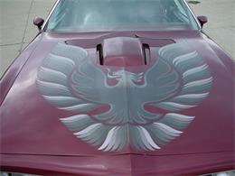 1978 Pontiac Firebird Trans Am (CC-1031187) for sale in Milford, Ohio
