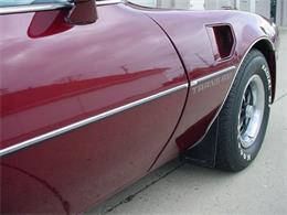 1978 Pontiac Firebird Trans Am (CC-1031187) for sale in Milford, Ohio