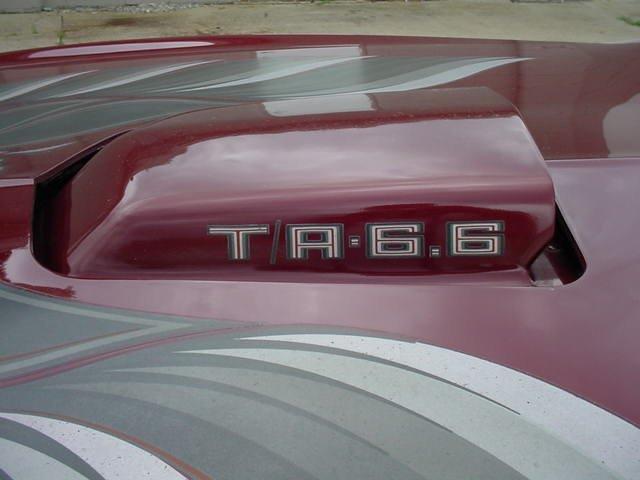 1978 Pontiac Firebird Trans Am (CC-1031187) for sale in Milford, Ohio