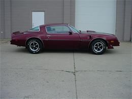 1978 Pontiac Firebird Trans Am (CC-1031187) for sale in Milford, Ohio