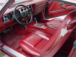 1978 Pontiac Firebird Trans Am (CC-1031187) for sale in Milford, Ohio
