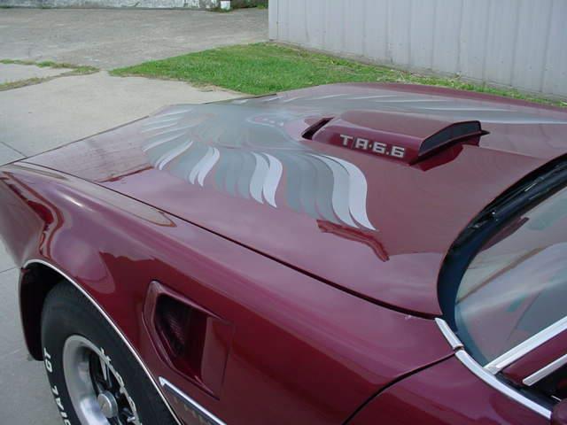 1978 Pontiac Firebird Trans Am (CC-1031187) for sale in Milford, Ohio