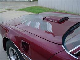 1978 Pontiac Firebird Trans Am (CC-1031187) for sale in Milford, Ohio