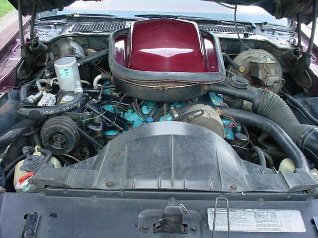 1978 Pontiac Firebird Trans Am (CC-1031187) for sale in Milford, Ohio