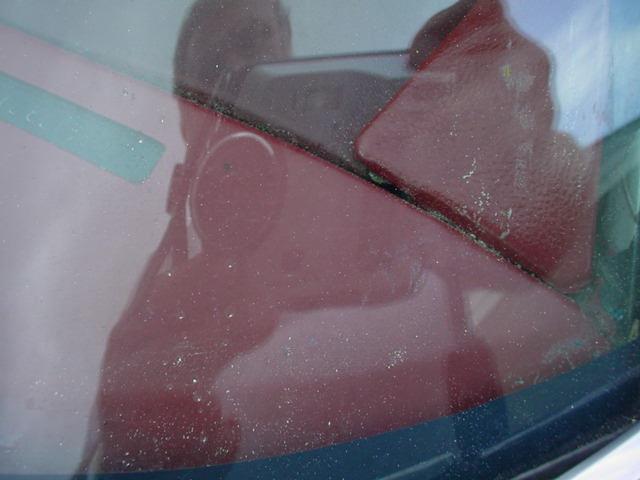 1978 Pontiac Firebird Trans Am (CC-1031187) for sale in Milford, Ohio