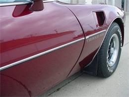 1978 Pontiac Firebird Trans Am (CC-1031187) for sale in Milford, Ohio