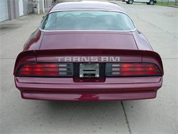 1978 Pontiac Firebird Trans Am (CC-1031187) for sale in Milford, Ohio