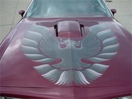 1978 Pontiac Firebird Trans Am (CC-1031187) for sale in Milford, Ohio