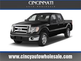 2013 Ford F150 (CC-1031383) for sale in Loveland, Ohio