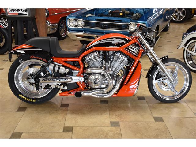 2006 Harley-Davidson VRXSE (CC-1031393) for sale in Venice, Florida
