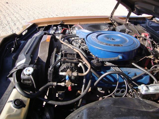 1970 Ford Thunderbird (CC-1031459) for sale in Milbank, South Dakota