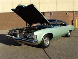 1973 Pontiac Catalina (CC-1030150) for sale in Dearborn, Michigan