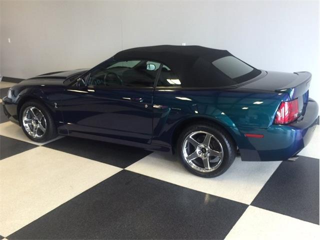 2004 Ford Mustang SVT Cobra Mystichrome (CC-1031792) for sale in Greensboro, North Carolina