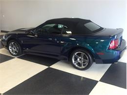 2004 Ford Mustang SVT Cobra Mystichrome (CC-1031792) for sale in Greensboro, North Carolina