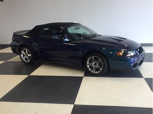 2004 Ford Mustang SVT Cobra Mystichrome (CC-1031792) for sale in Greensboro, North Carolina