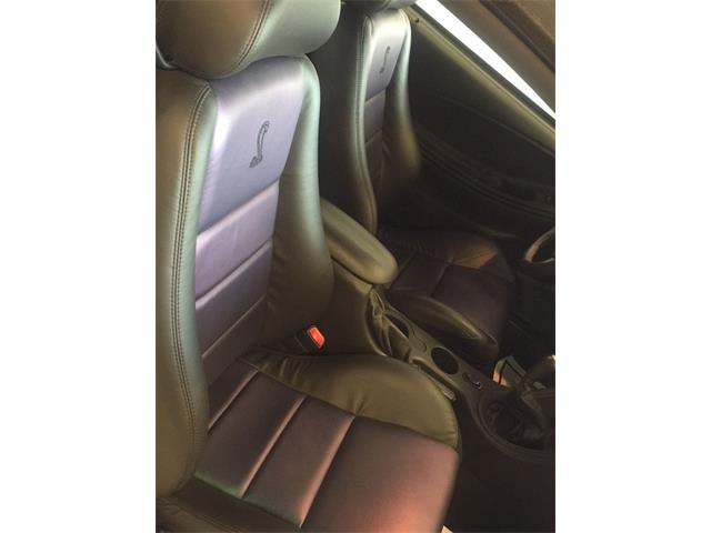 2004 Ford Mustang SVT Cobra Mystichrome (CC-1031792) for sale in Greensboro, North Carolina