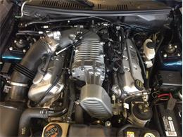 2004 Ford Mustang SVT Cobra Mystichrome (CC-1031792) for sale in Greensboro, North Carolina