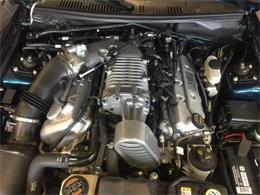 2004 Ford Mustang SVT Cobra Mystichrome (CC-1031792) for sale in Greensboro, North Carolina