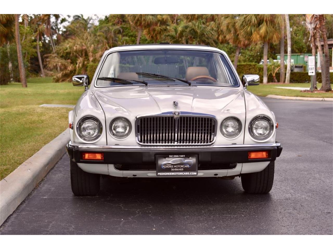 1985 Jaguar XJ6 for Sale | ClassicCars.com | CC-1032275