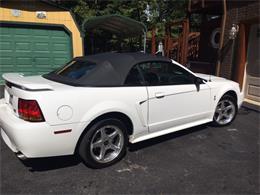 2001 Ford Mustang Cobra (CC-1032342) for sale in Leesburg, Virginia