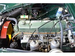 1967 Austin-Healey 3000 Mark III BJ8 (CC-1032473) for sale in Huntington Station, New York