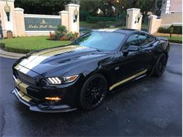 2016 Ford Shelby GT-H Fastback (CC-1032832) for sale in Punta Gorda, Florida