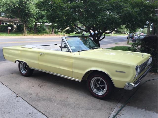 1967 Plymouth Belvedere II Convertible (CC-1032883) for sale in Punta Gorda, Florida