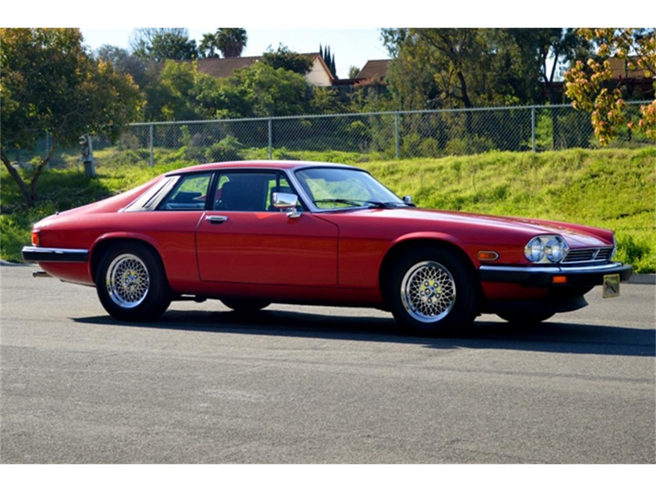 Jaguar XJS v12